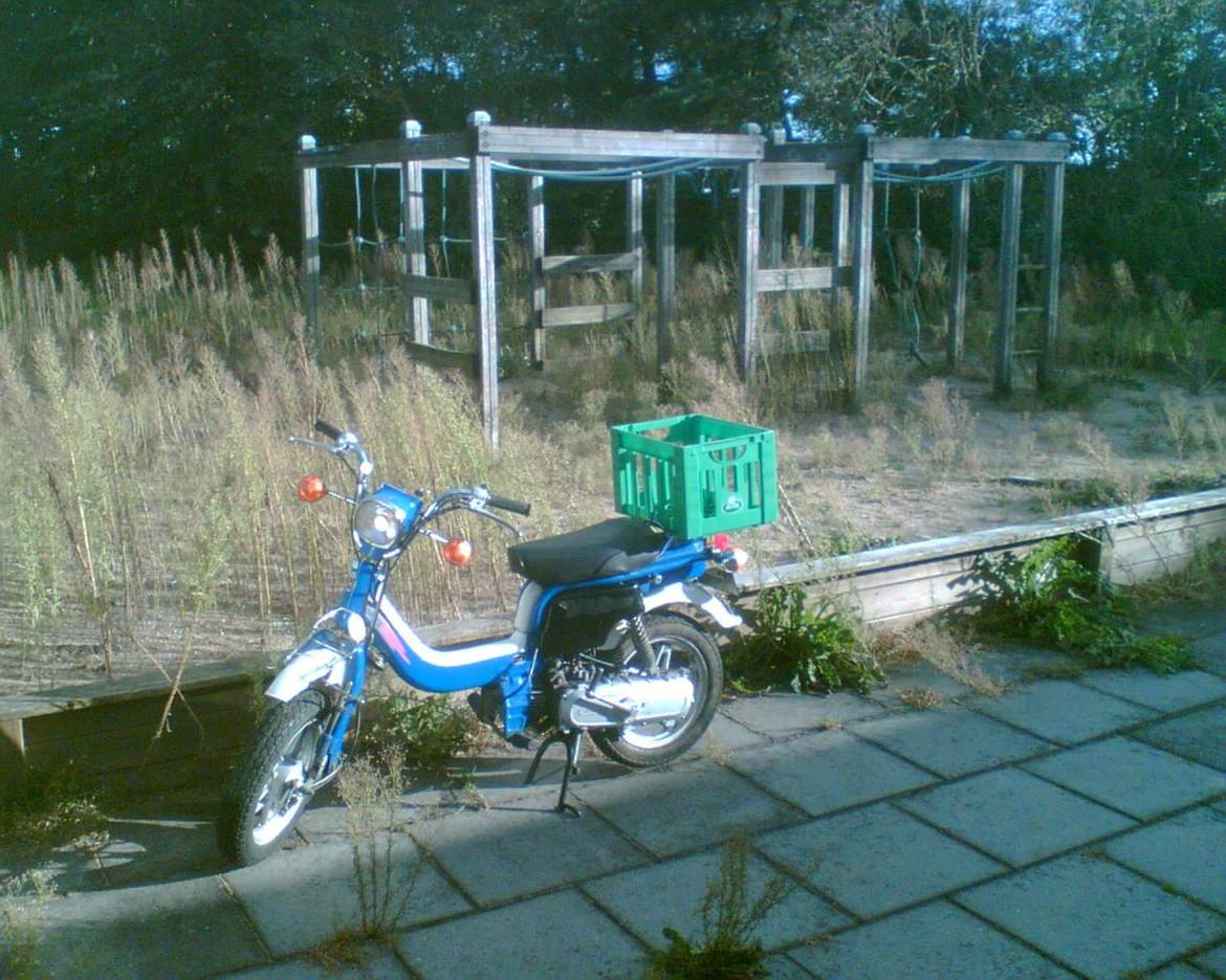 Suzuki FZ50 billede 9