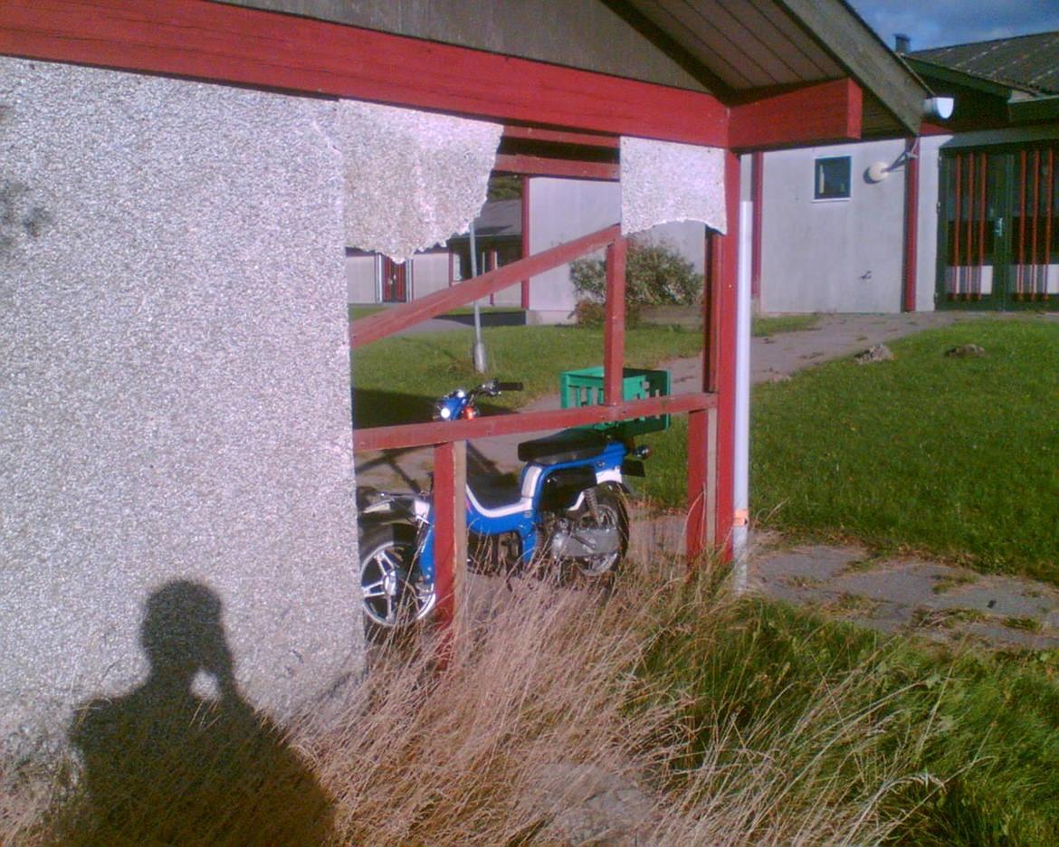 Suzuki FZ50 billede 11