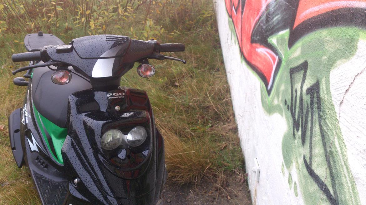 PGO Hot 50 billede 3