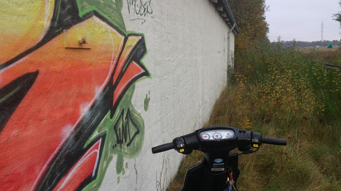 PGO Hot 50 billede 10