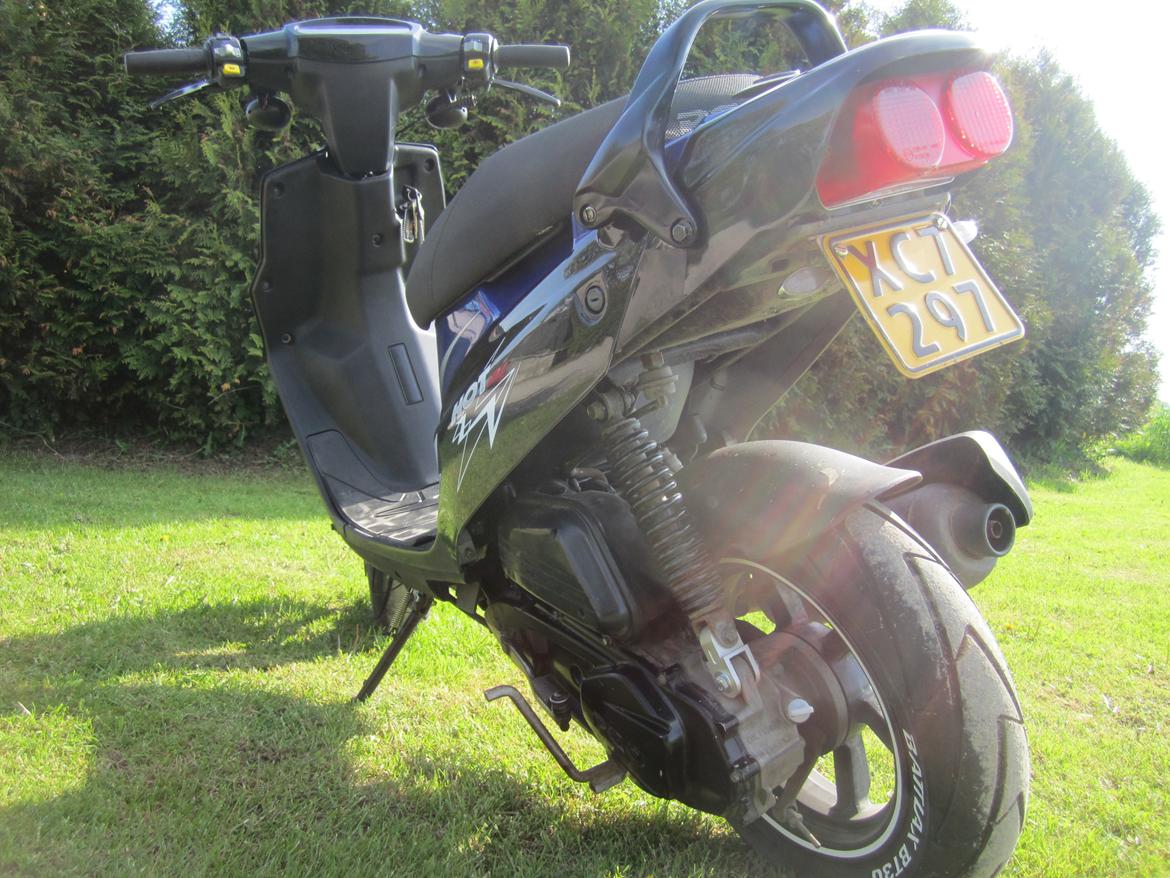 PGO hot 50 sp billede 16