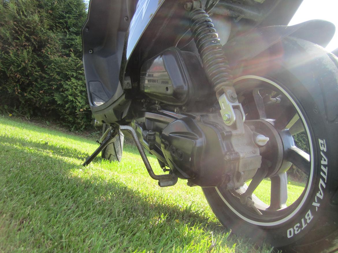 PGO hot 50 sp billede 17