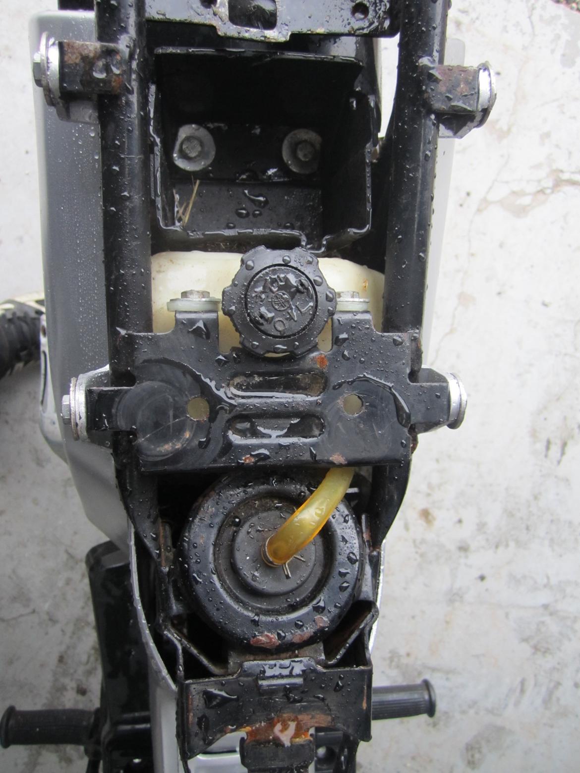 Yamaha sting billede 18