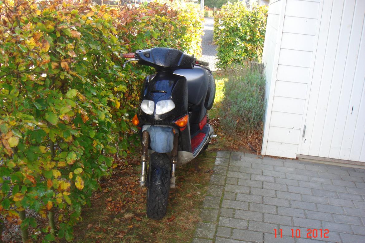 Aprilia rally billede 2