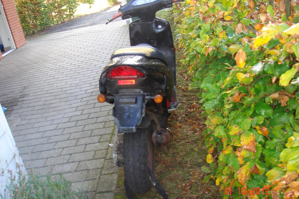 Aprilia rally billede 6