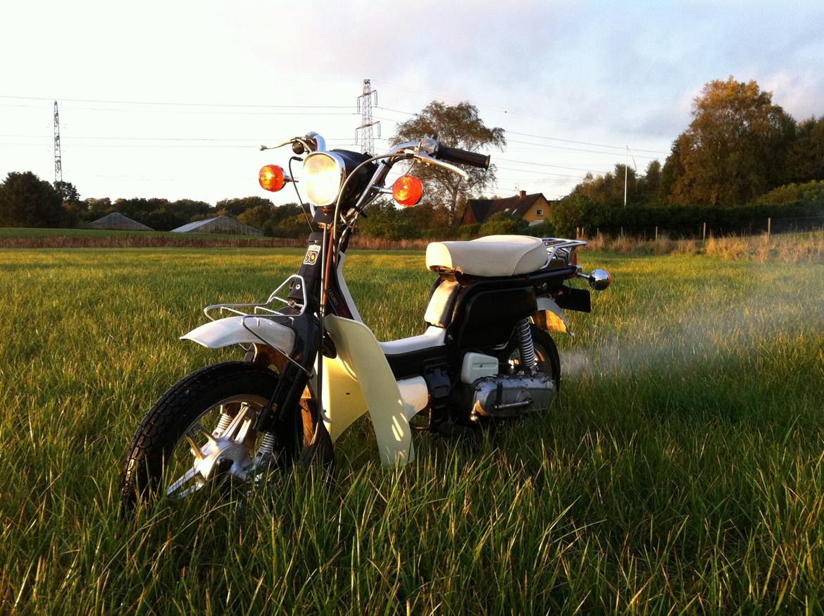 Suzuki FZ50 billede 1