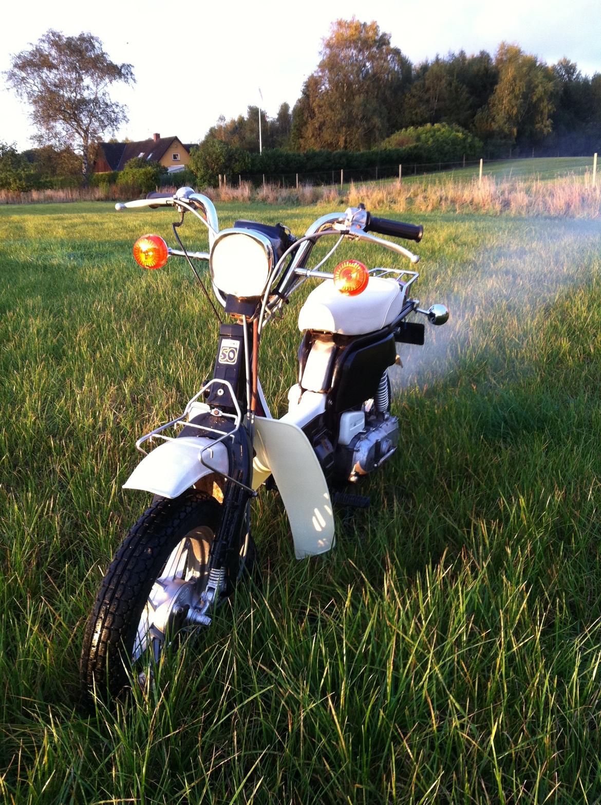 Suzuki FZ50 billede 2