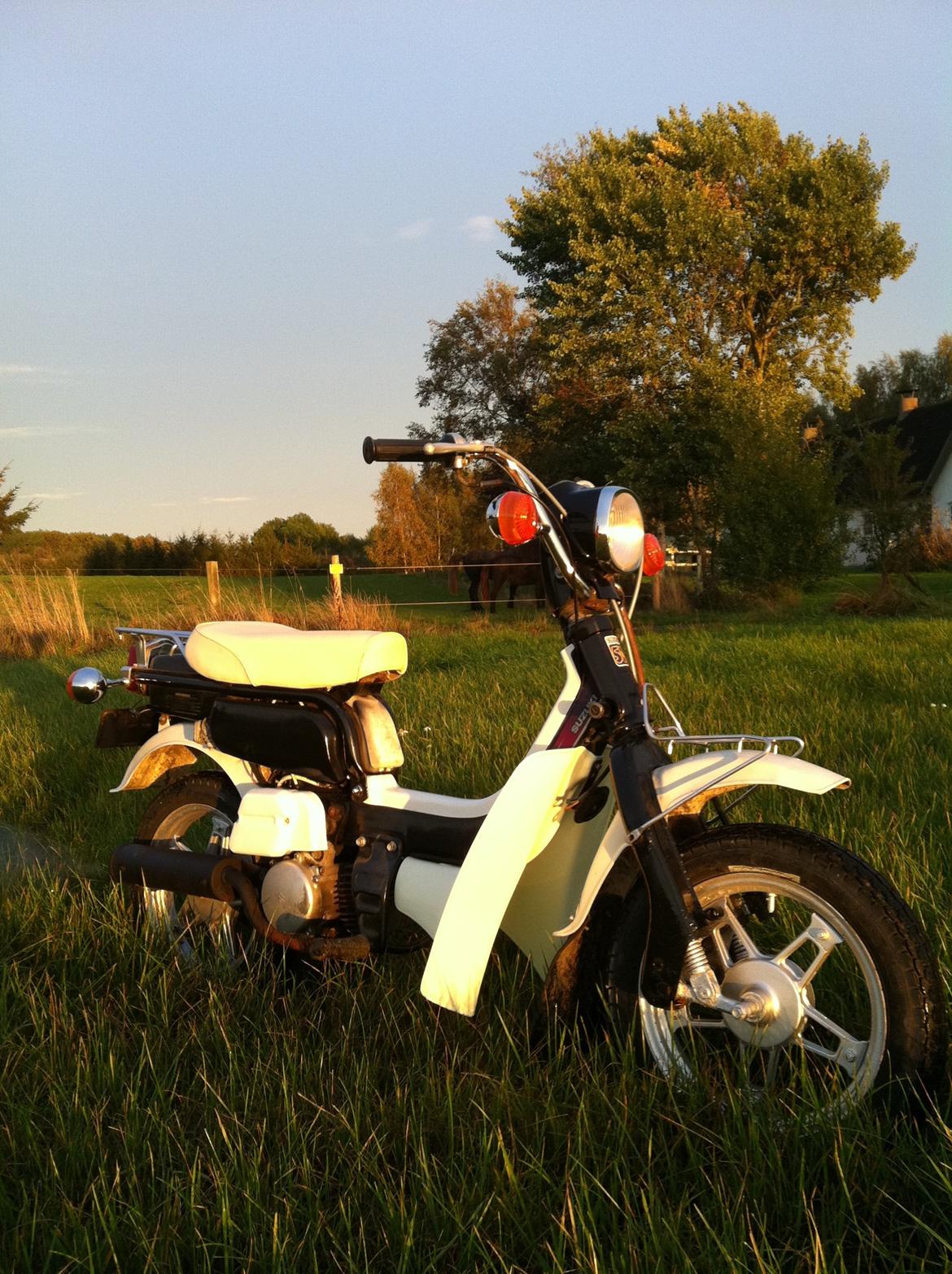 Suzuki FZ50 billede 4