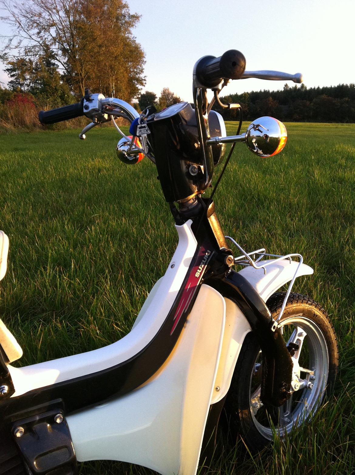 Suzuki FZ50 billede 6