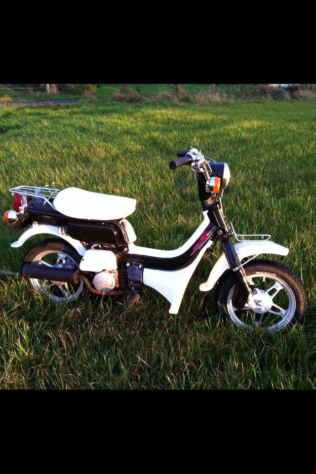 Suzuki FZ50 billede 10