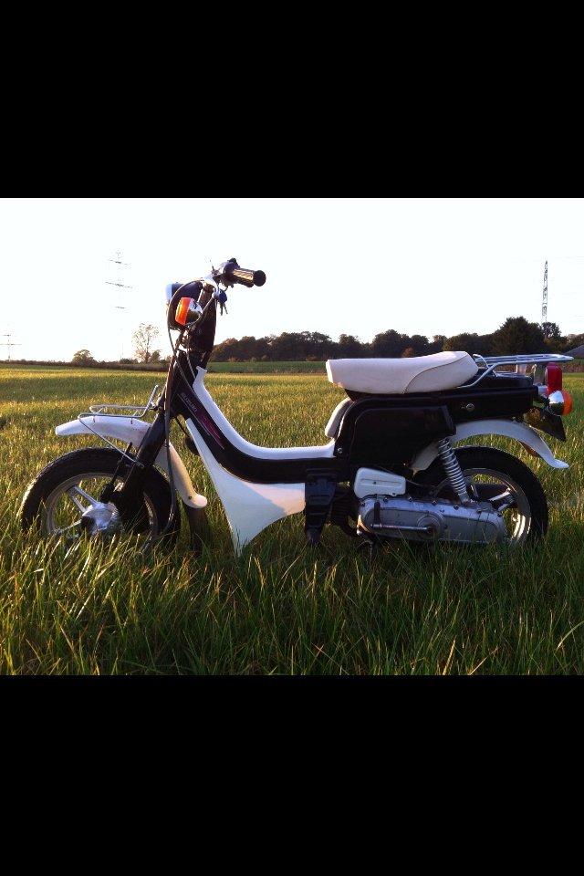 Suzuki FZ50 billede 12