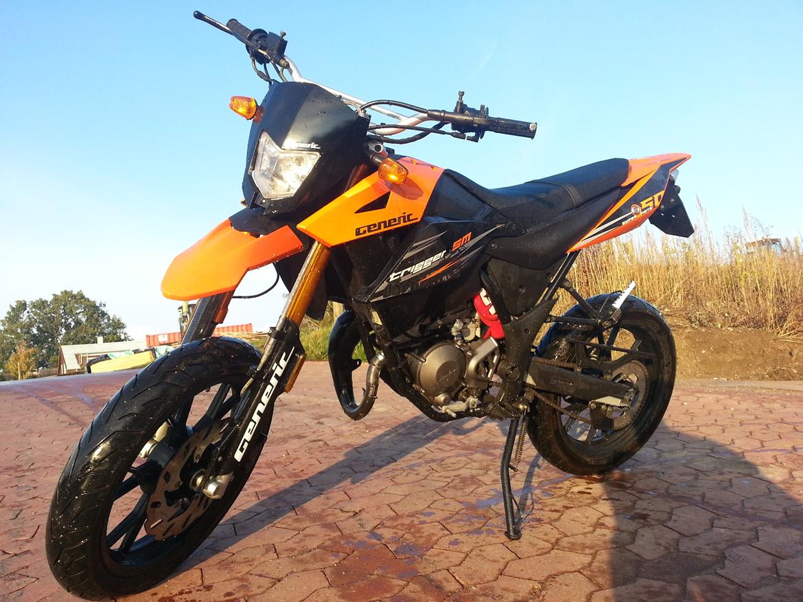 Generic trigger sm 80 (The beast) billede 1