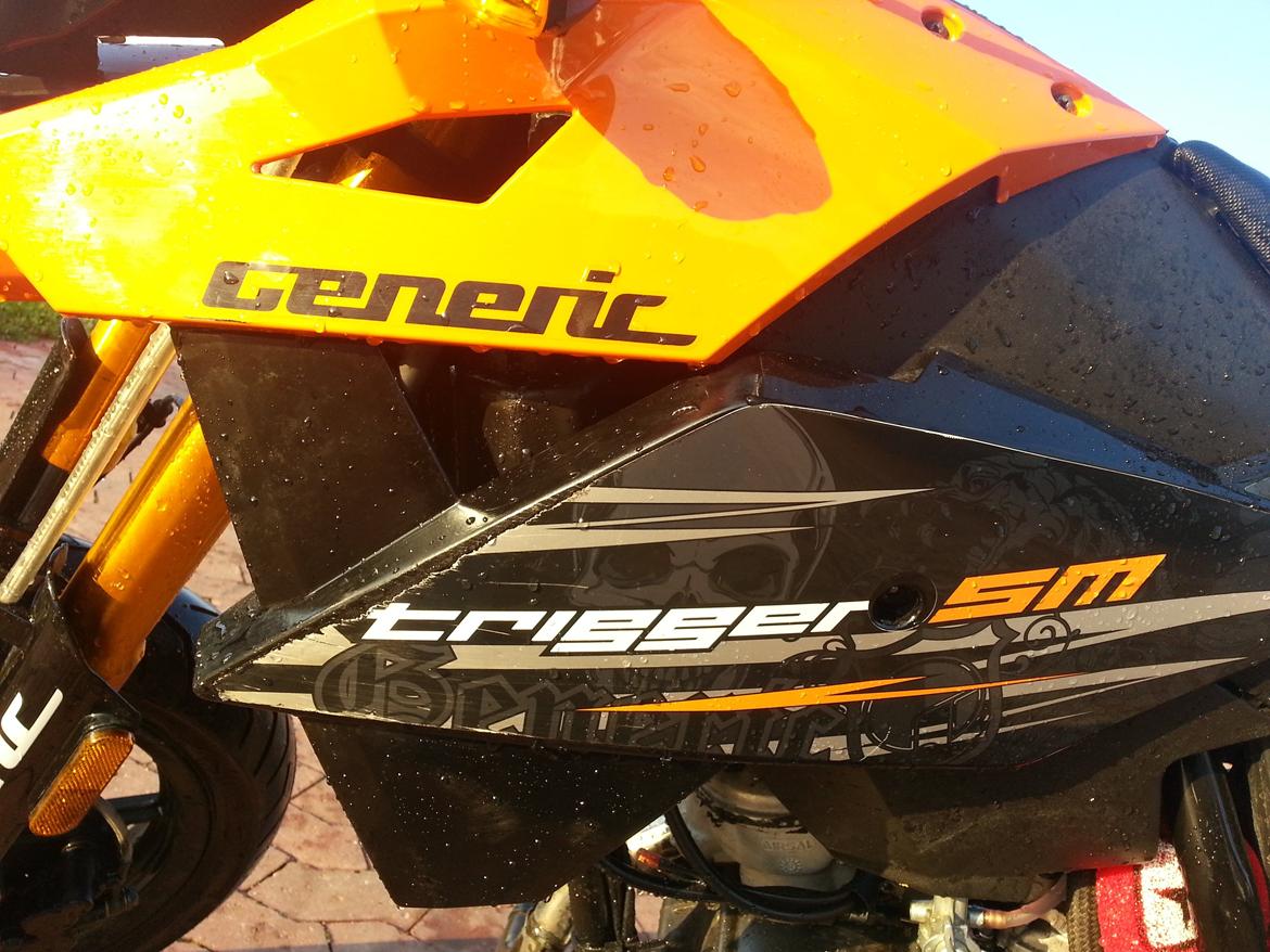 Generic trigger sm 80 (The beast) billede 6