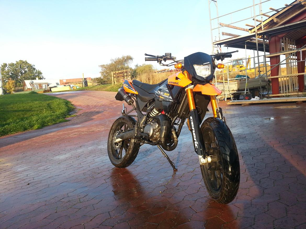 Generic trigger sm 80 (The beast) billede 7