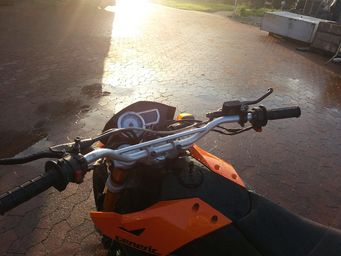 Generic trigger sm 80 (The beast) billede 12