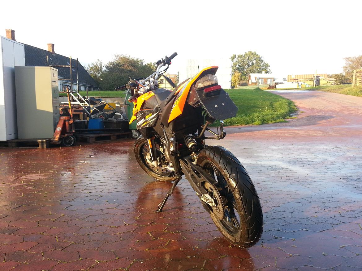 Generic trigger sm 80 (The beast) billede 16