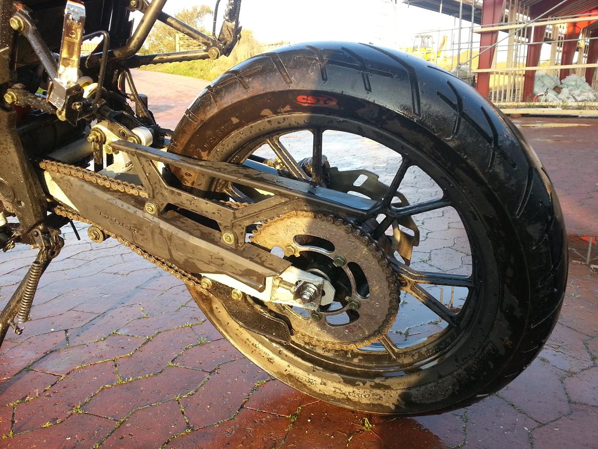 Generic trigger sm 80 (The beast) billede 17