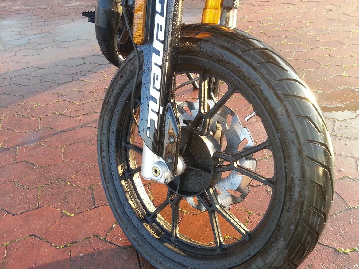 Generic trigger sm 80 (The beast) billede 18