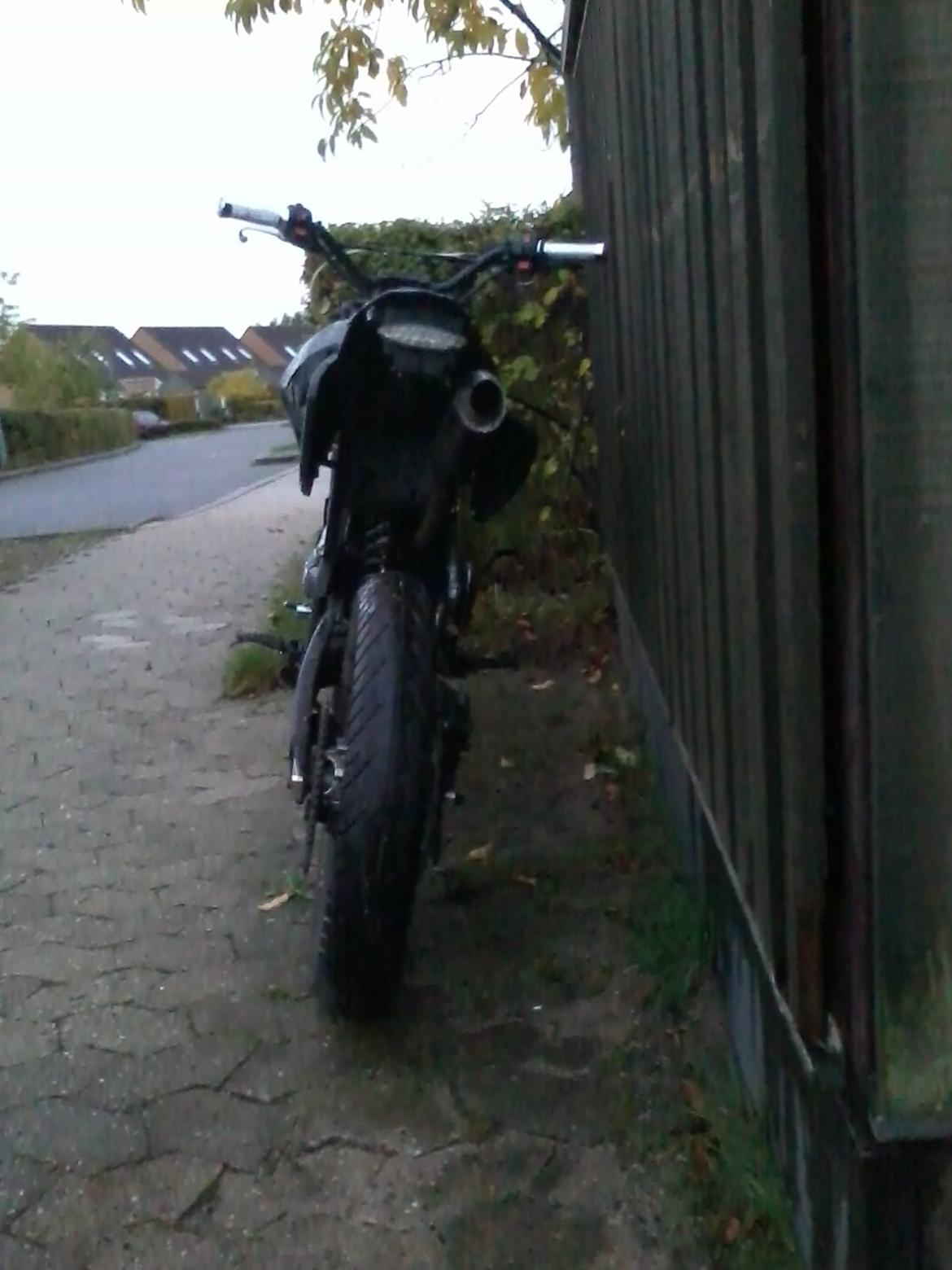 Apollo Orion   ragon billede 3