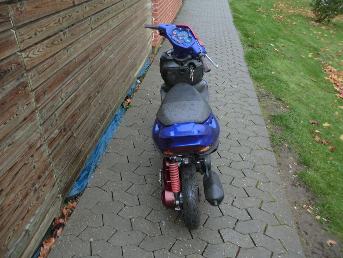 Aprilia Sonic billede 5