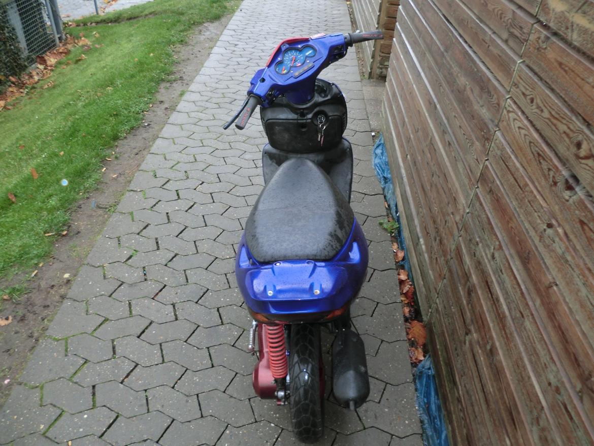 Aprilia Sonic billede 13