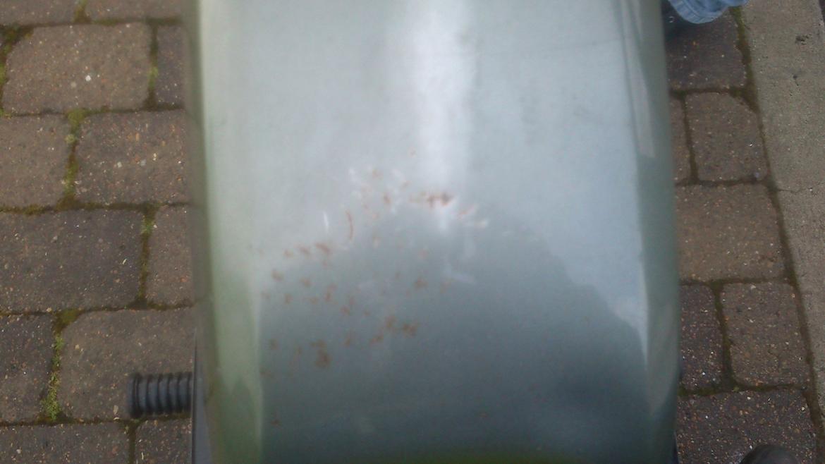 Yamaha fs1 billede 8