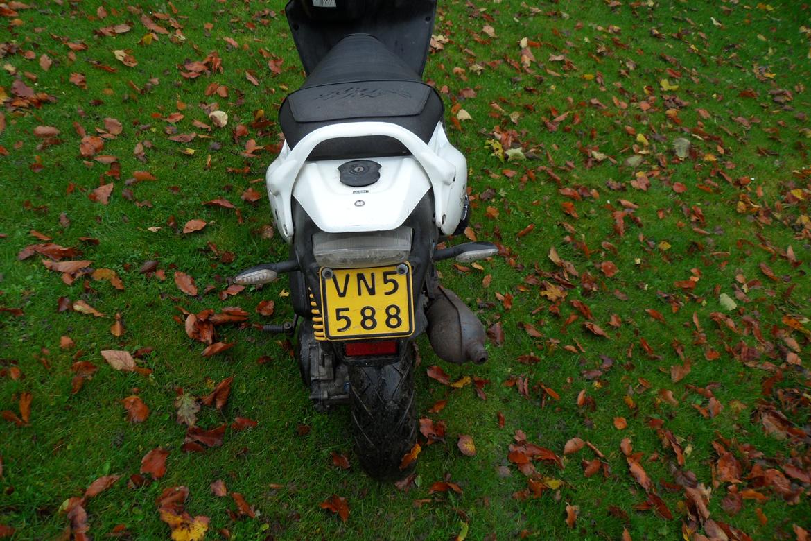 PGO PMX NoFear billede 4