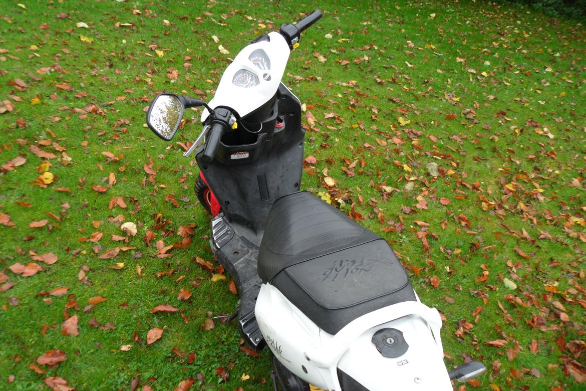 PGO PMX NoFear billede 7