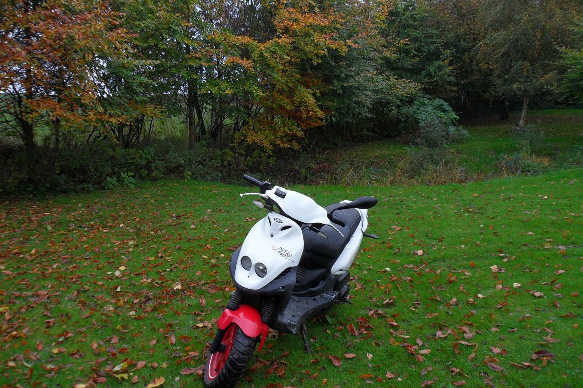 PGO PMX NoFear billede 11