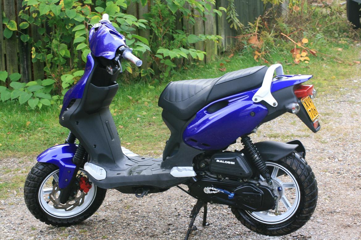 PGO PMX SPORT [BLUE METAL] billede 1