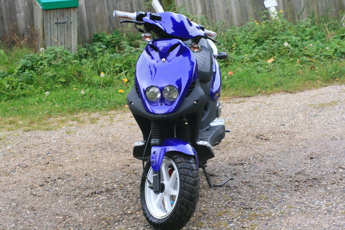 PGO PMX SPORT [BLUE METAL] billede 3