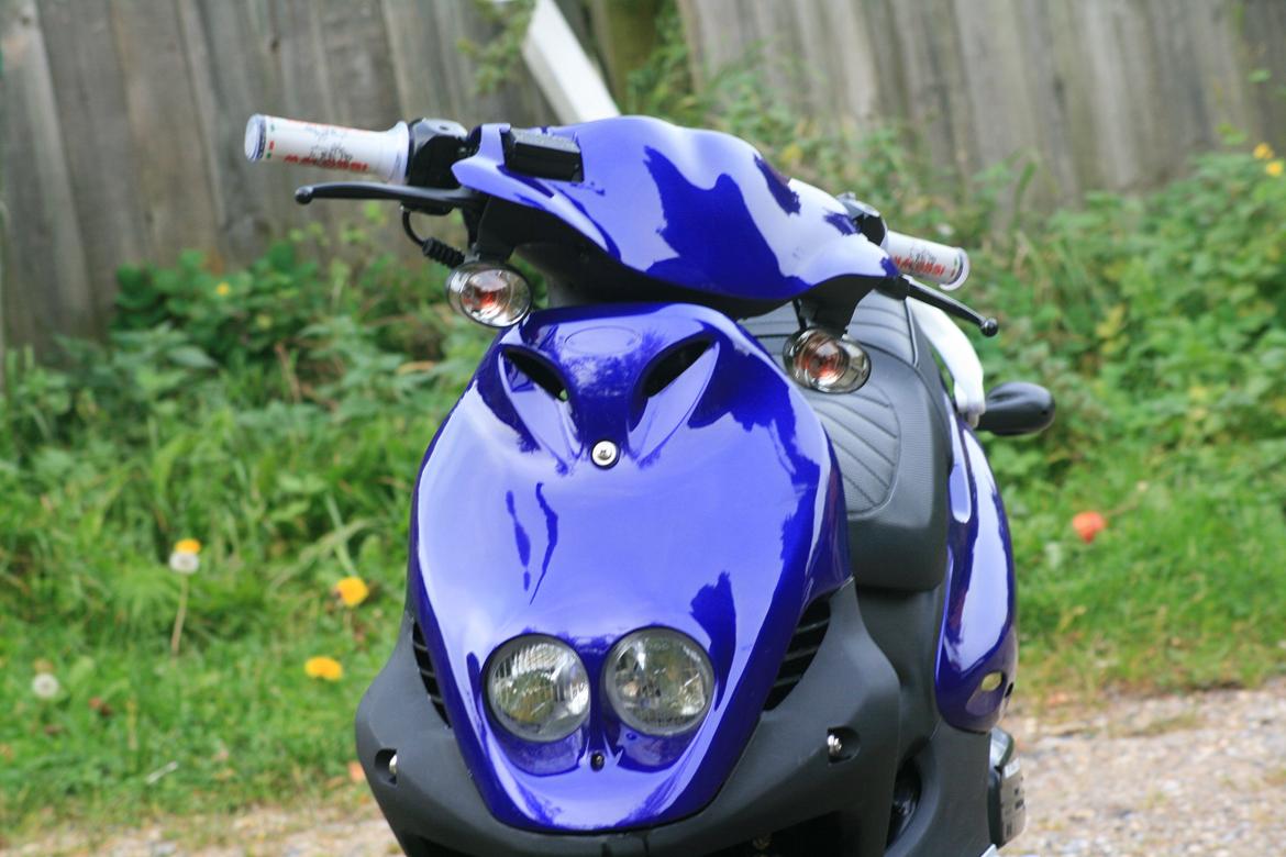 PGO PMX SPORT [BLUE METAL] billede 5