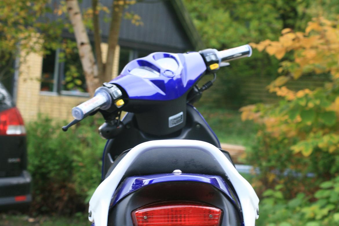 PGO PMX SPORT [BLUE METAL] billede 8