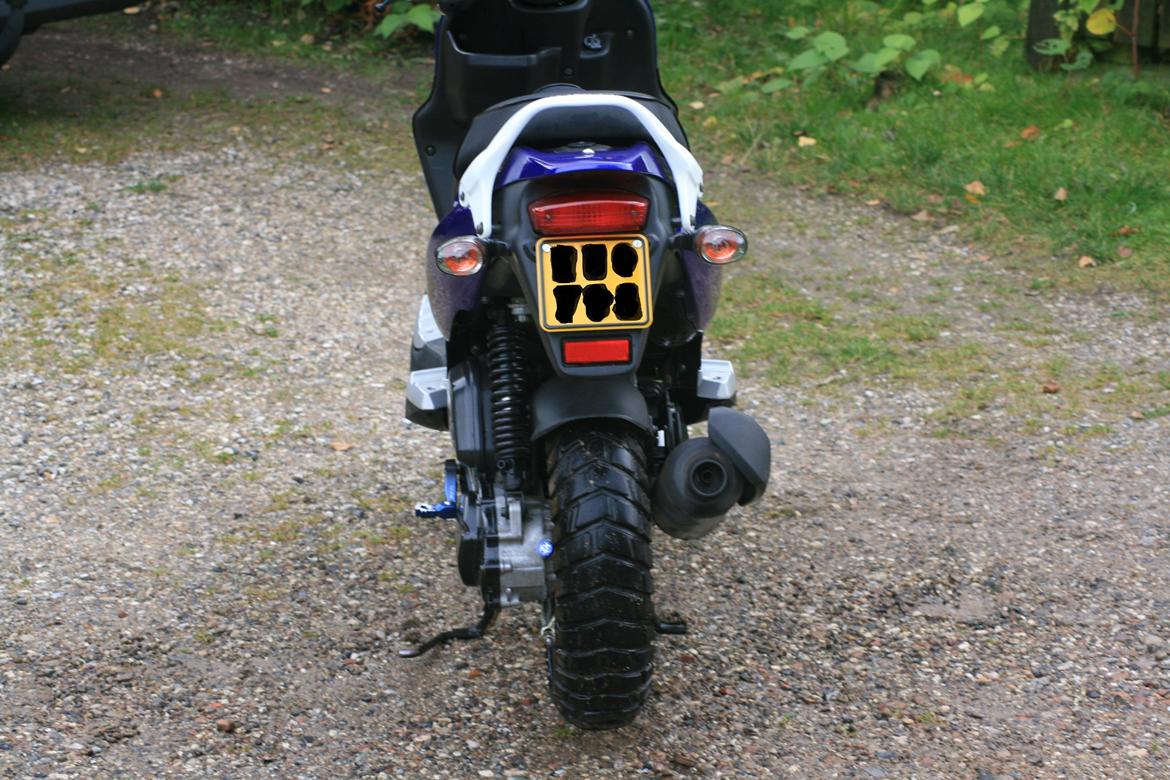 PGO PMX SPORT [BLUE METAL] billede 9