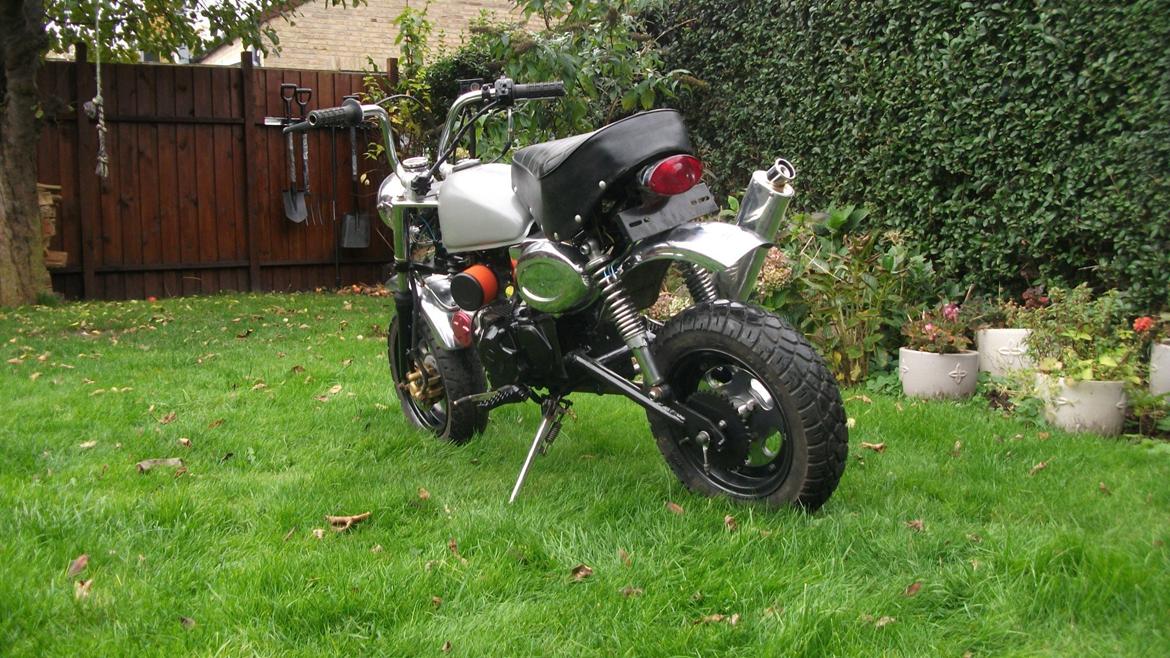 Jincheng monkey billede 1