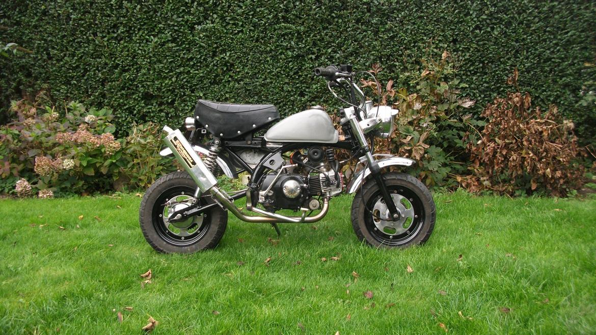 Jincheng monkey billede 2