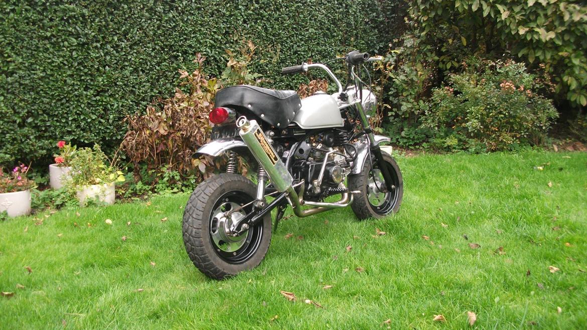 Jincheng monkey billede 3