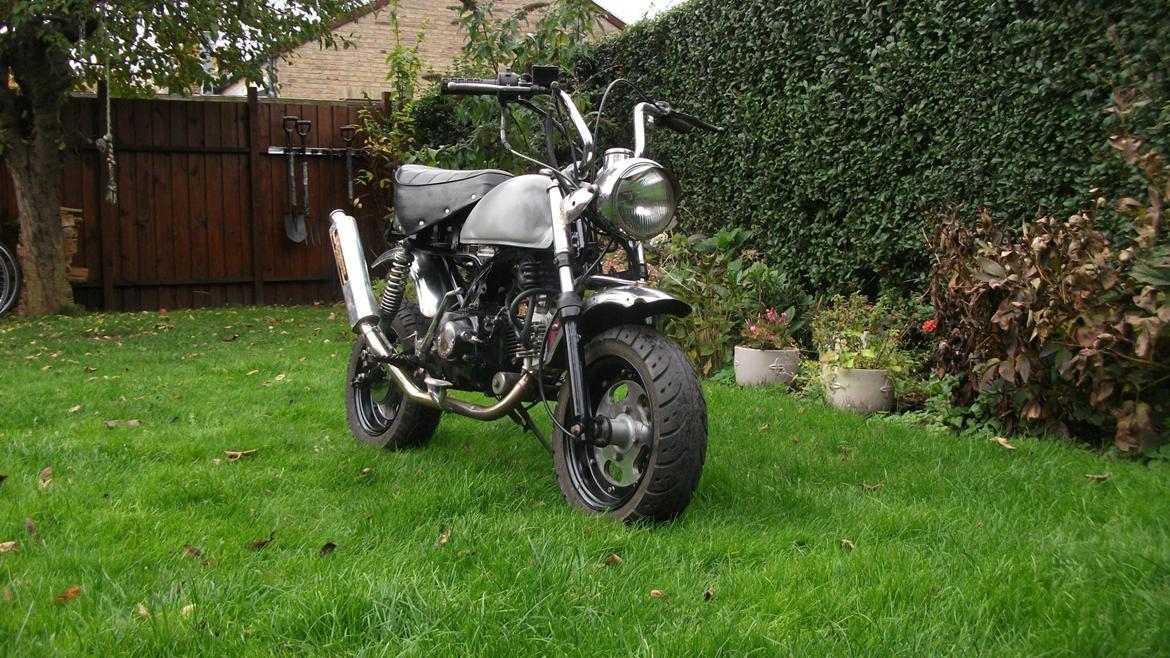 Jincheng monkey billede 4