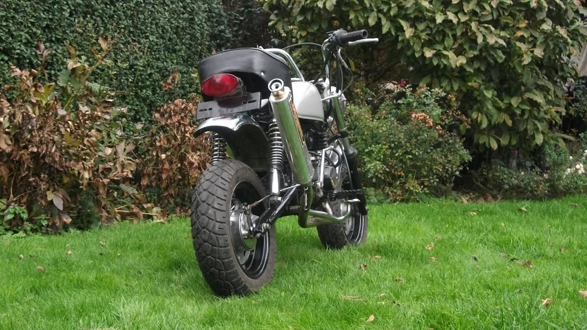 Jincheng monkey billede 5