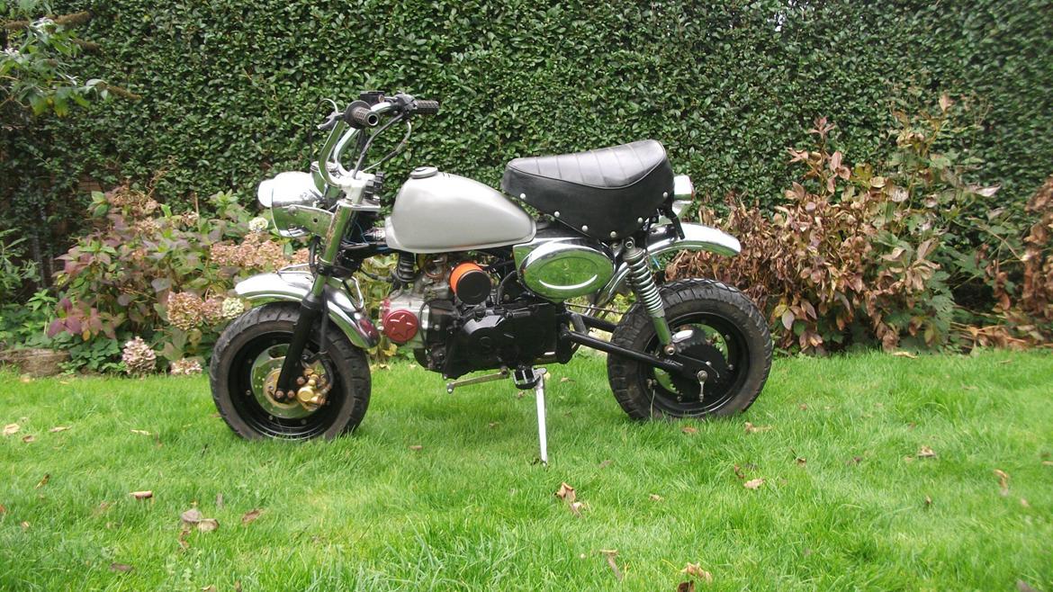 Jincheng monkey billede 6