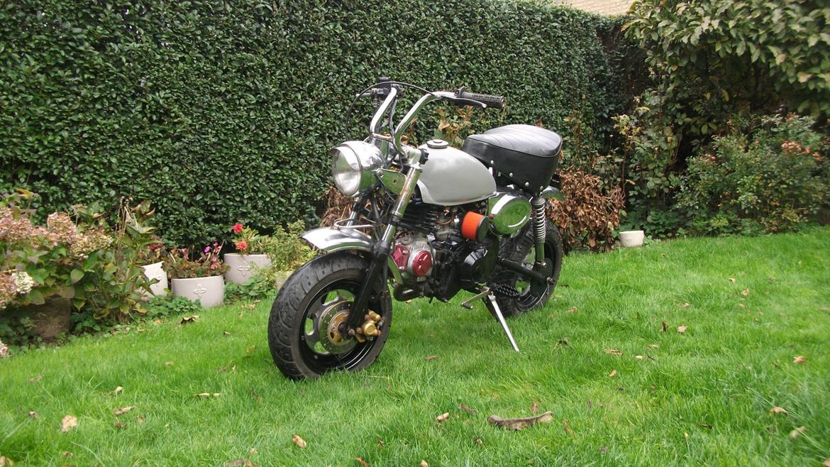 Jincheng monkey billede 7