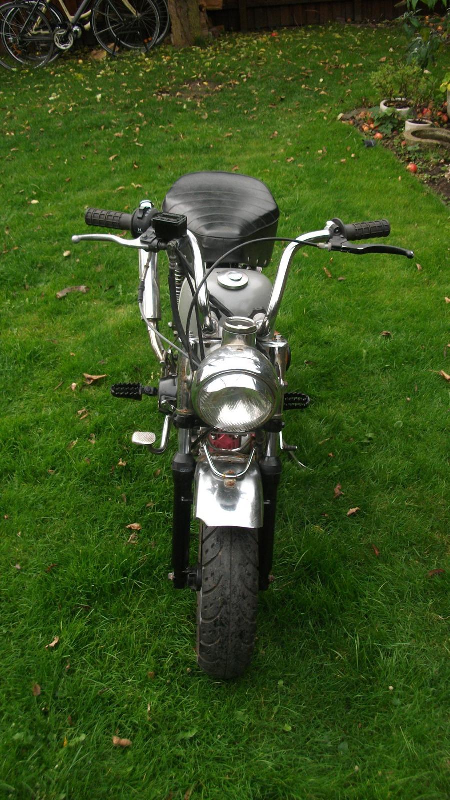 Jincheng monkey billede 8