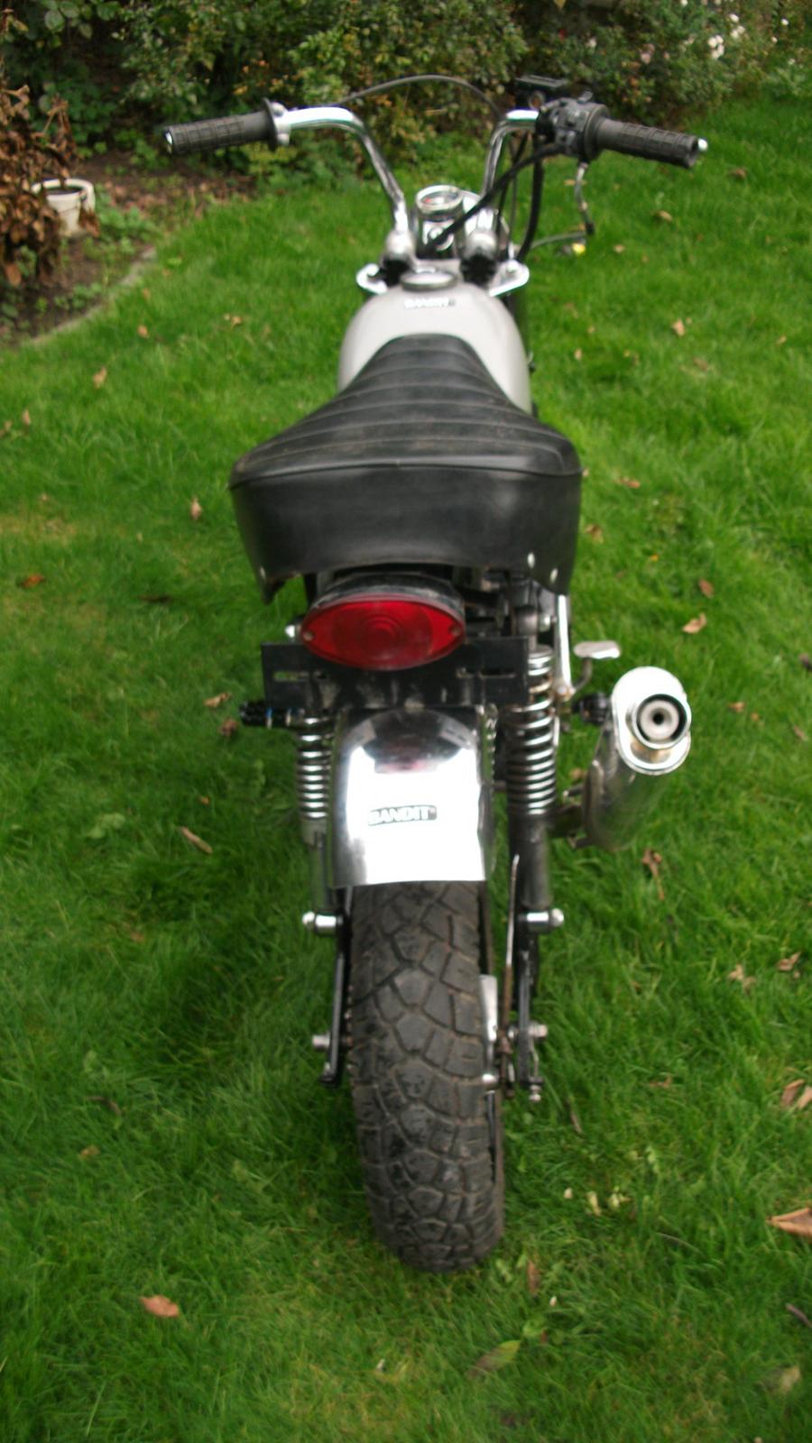 Jincheng monkey billede 9