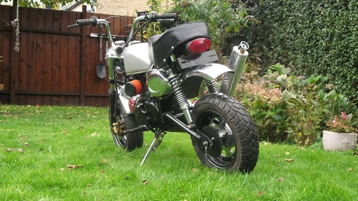 Jincheng monkey billede 10