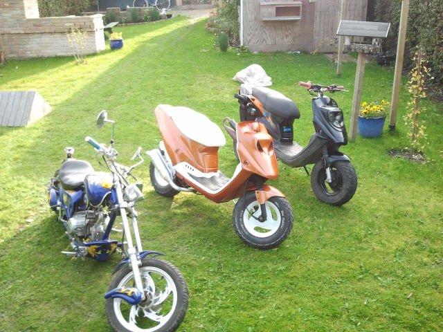 PGO Hot 50 billede 5