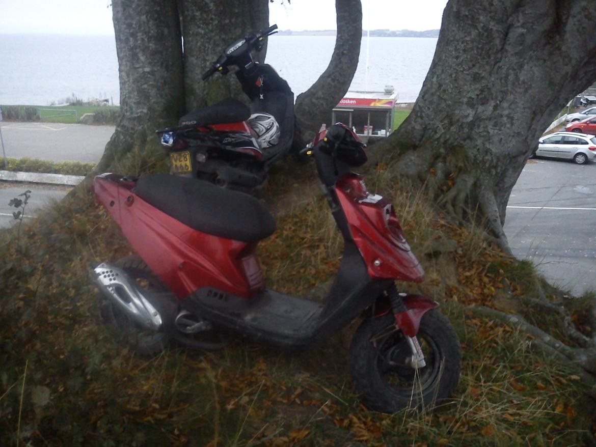 PGO hot 50 billede 1