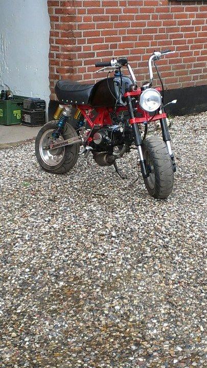 Skyteam Gorilla (SOLGT) billede 2