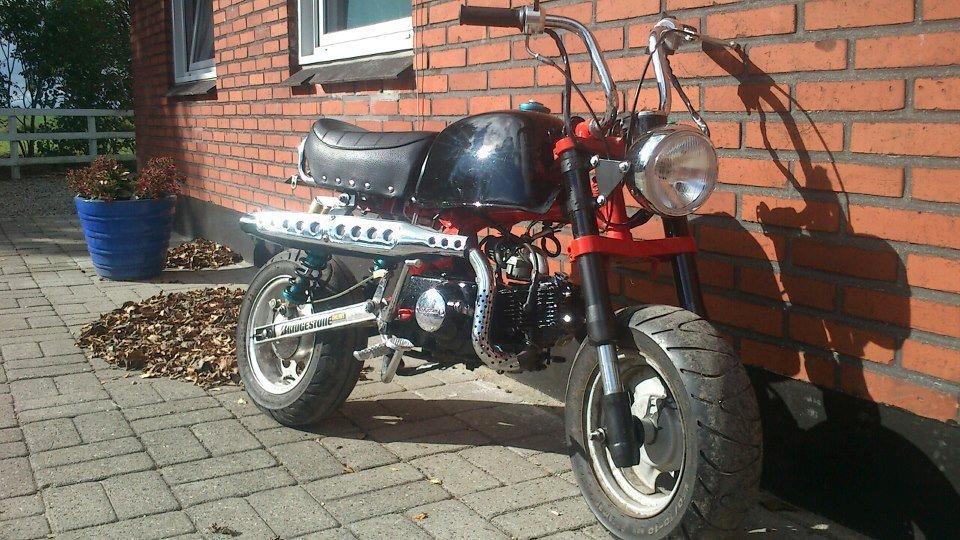 Skyteam Gorilla (SOLGT) billede 1