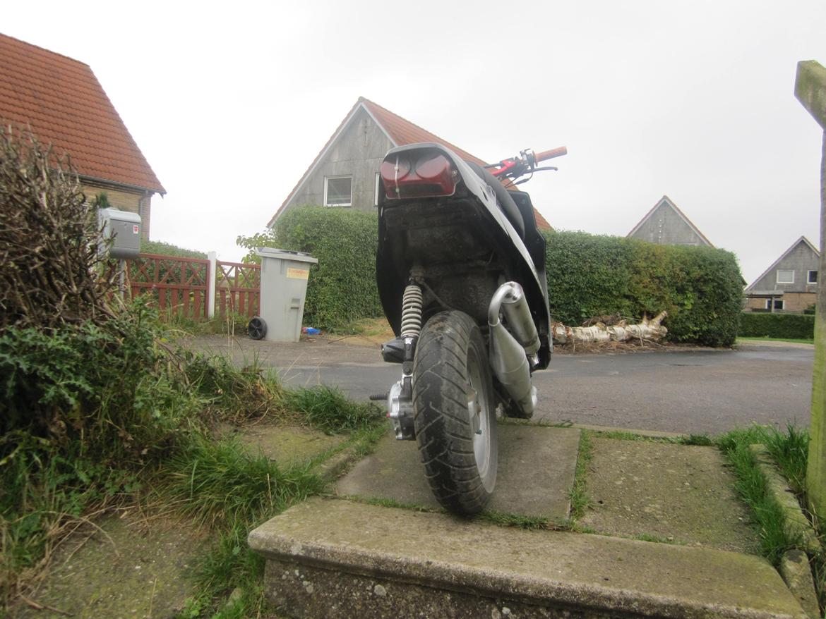 PGO Hot 50 billede 18