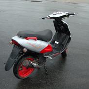 TGB 303rs